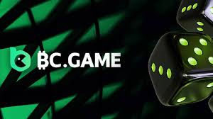 Explore the Thrills of BC.Game Online Platform